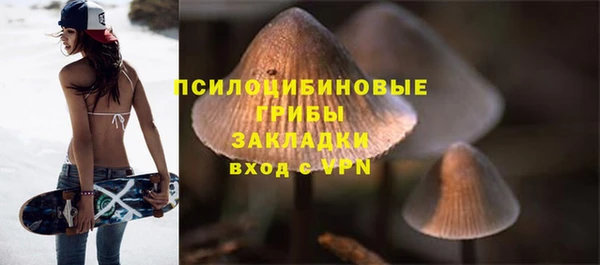 твердый Армянск