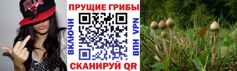 Псилоцибиновые грибы прущие грибы  Барабинск 